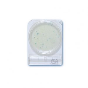 Compact Dry X-SA (Staphylococcus aureus) Presentación 100 placas .